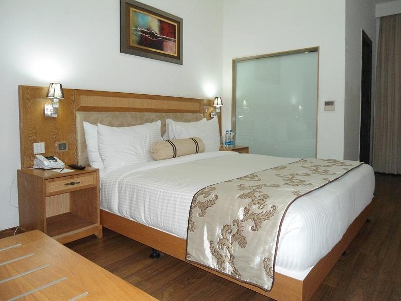 Comfort Inn Anneha Нью-Дели Номер фото
